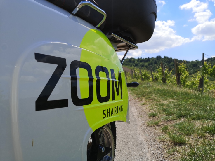 Zoom Sharing Logo